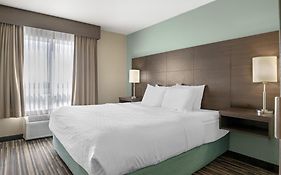 Best Western Plus Dartmouth Hotel & Suites
